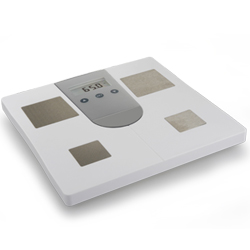 Weight Scale TD-2501