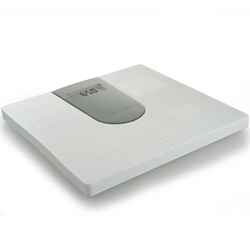 Weight Scale TD-2501